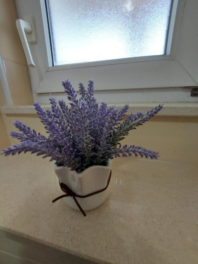Guest House As Vodice Esterno foto